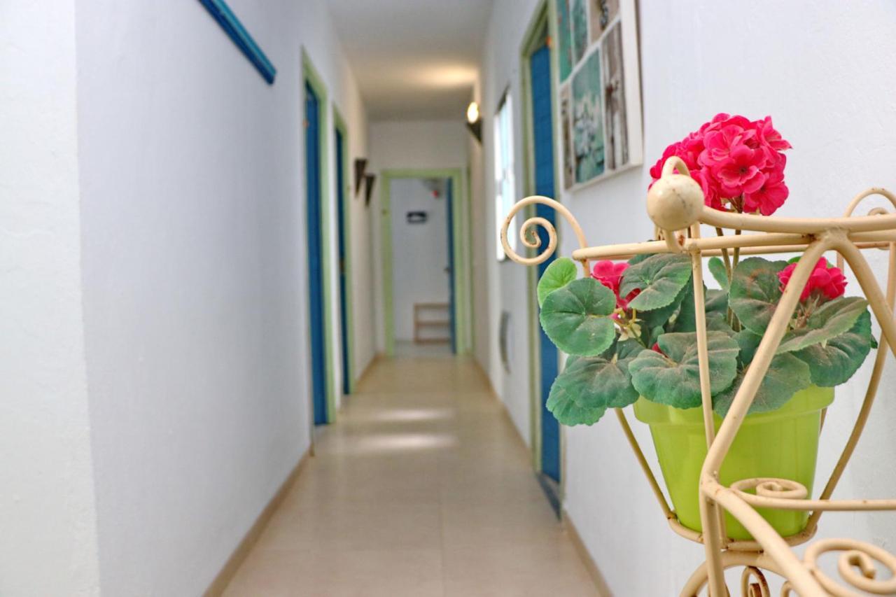 Habitacion Canaveral Playa Conil I Conil De La Frontera Dış mekan fotoğraf